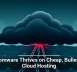 Ransomware Thrives on Cheap, Bulletproof Cloud Hosting